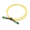 Corde de correction optique de la fibre OM3/OM4, câble 3mm de fibre de MPO pour CATV